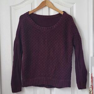 Burgundy American Eagle Knit sweater